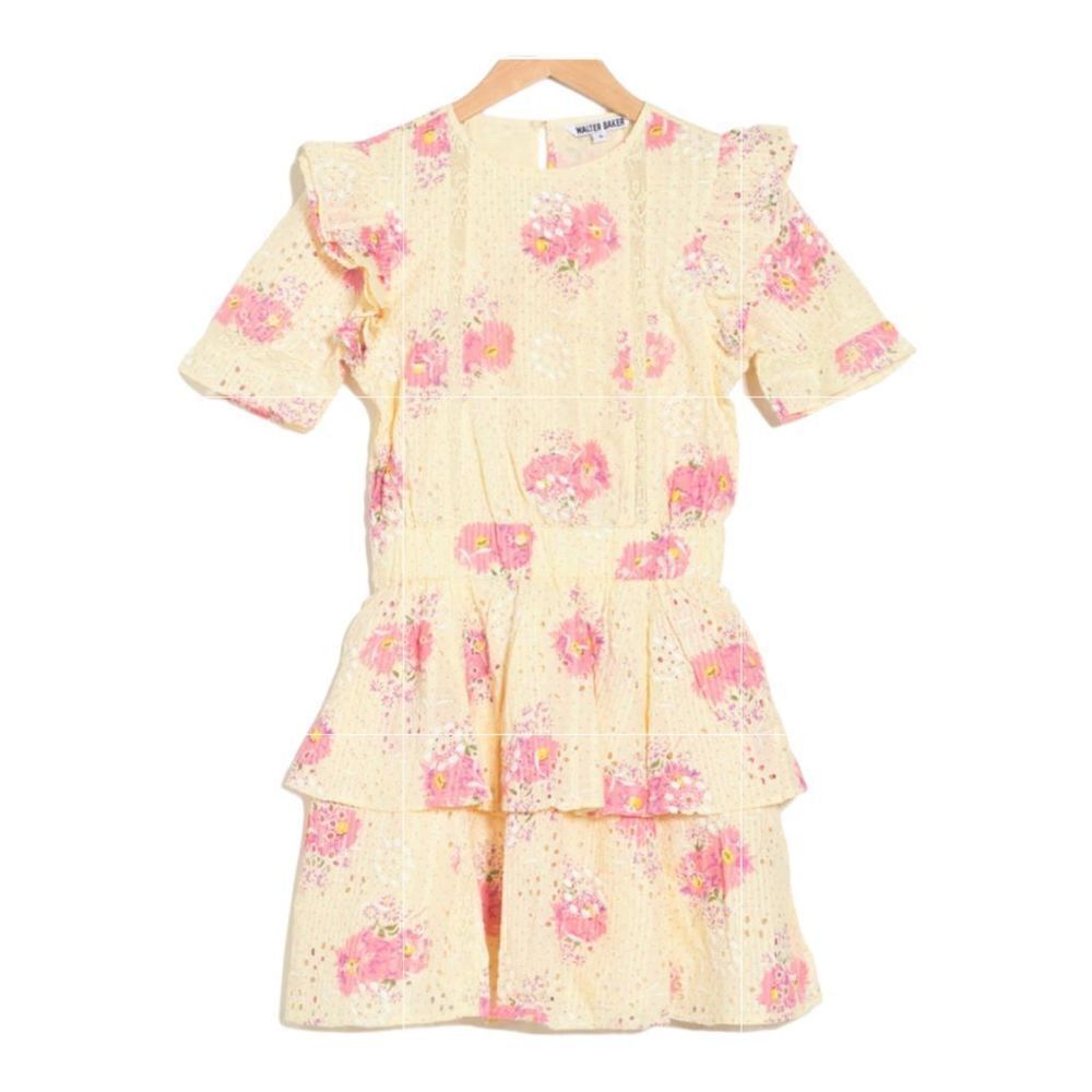 Walter Baker Peony Eyelet Cassandra Mini Dress - Picture 3 of 6